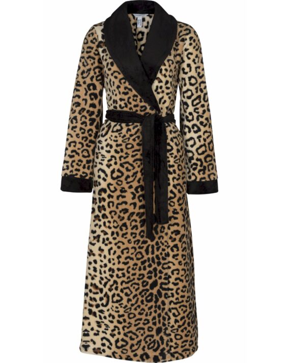 Leopard 000848